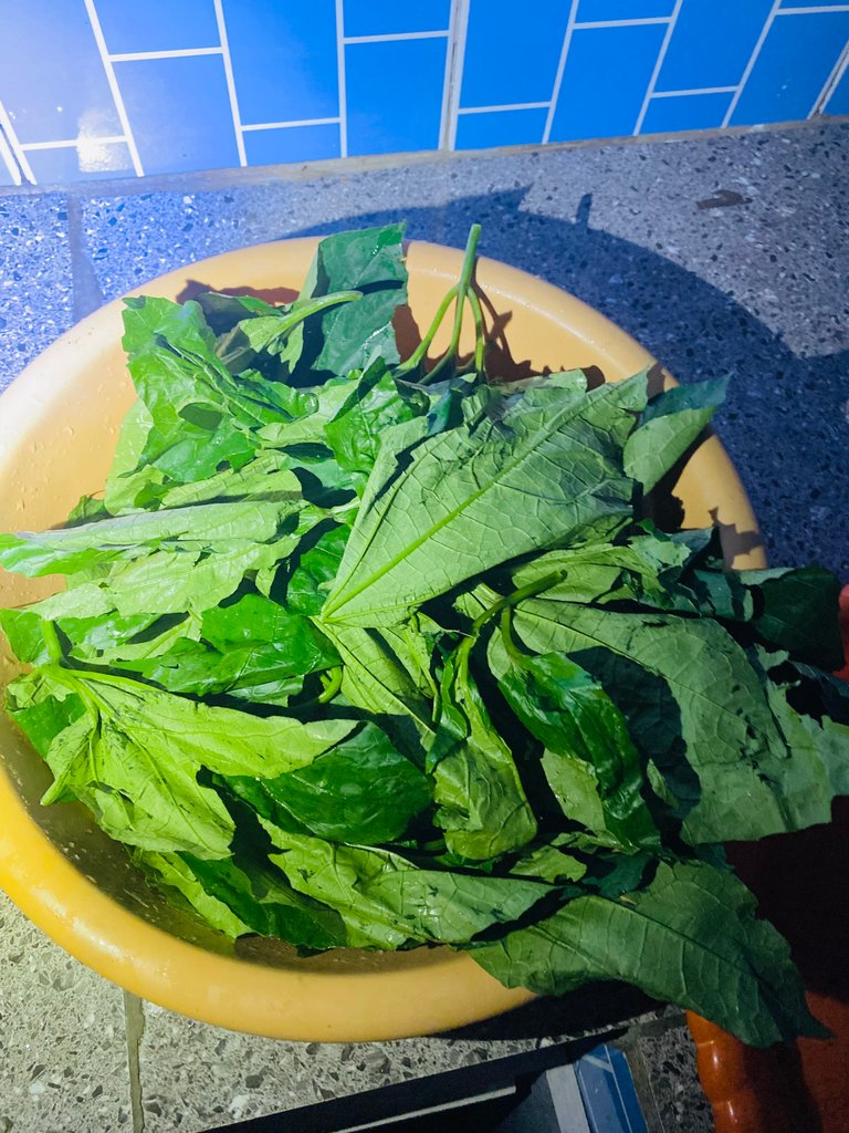 IMG_3562.jpeg
