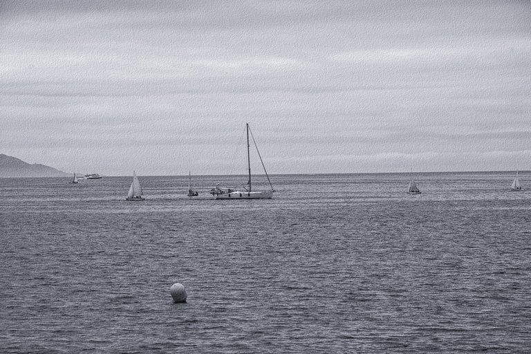 DSC_8897.JPG