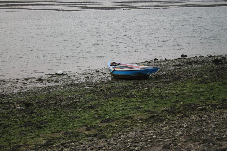 IMG_0277.JPG
