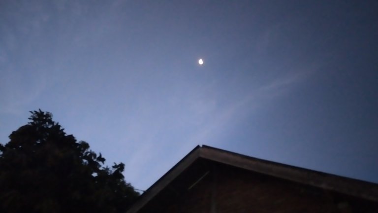 20240204_062723.jpg
