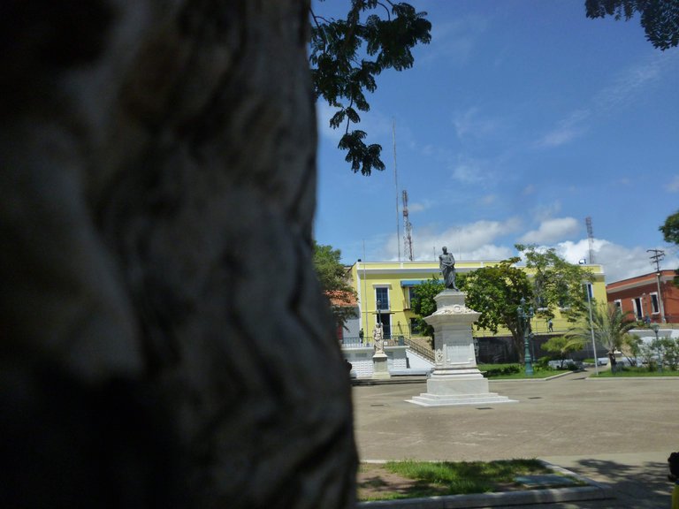P1290610.jpg