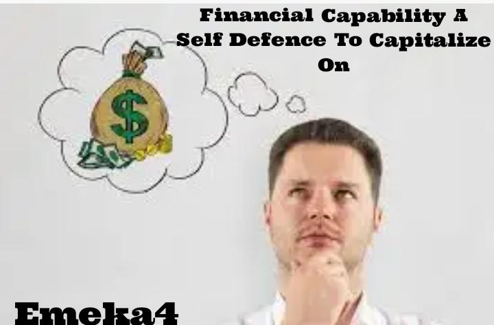 Financial Capability A Self Defence To Capitalize On