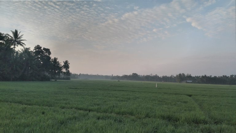 20240317_070039.jpg
