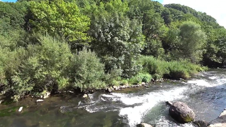 307.jpg
