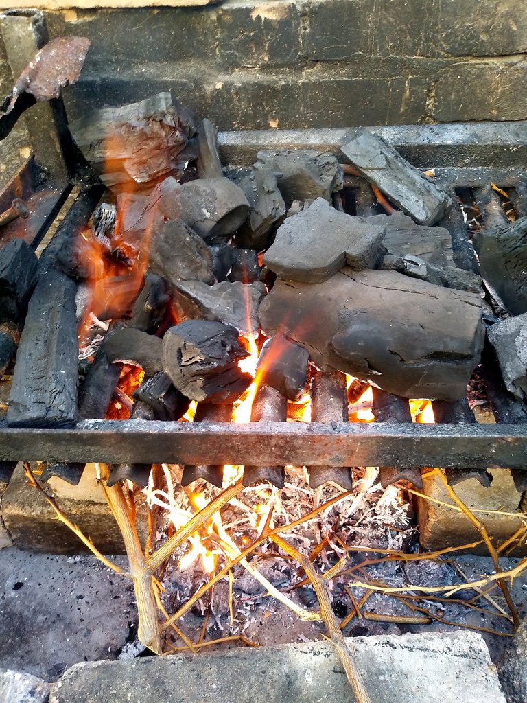 Carbon04.jpg