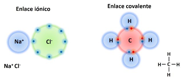 Imagen6.jpg