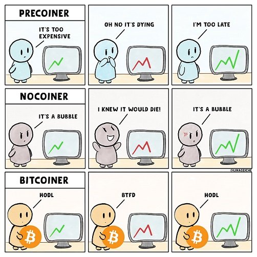 bubblehodlholdbitcoinerfudfomocomic.jpg