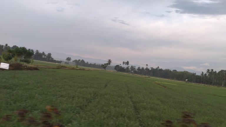 20240310_070124.jpg