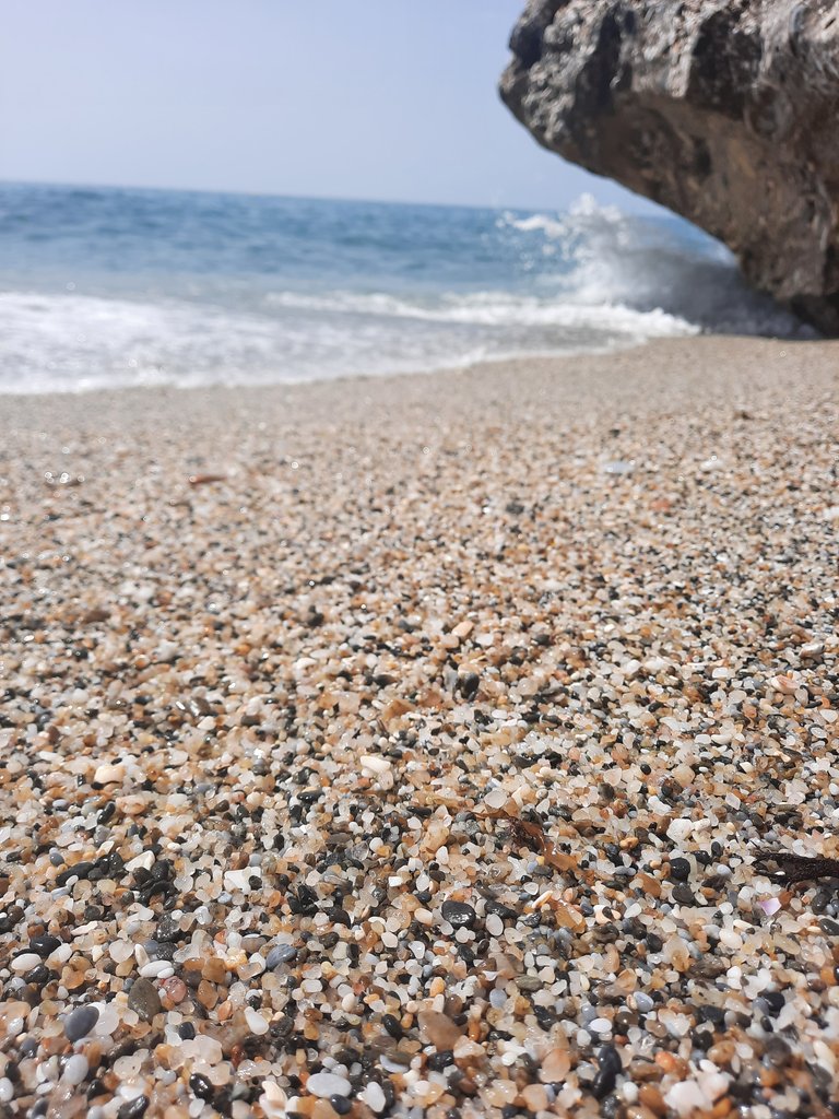 20220617_115605.jpg