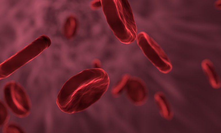 red-blood-cells-3188223_960_720.jpg