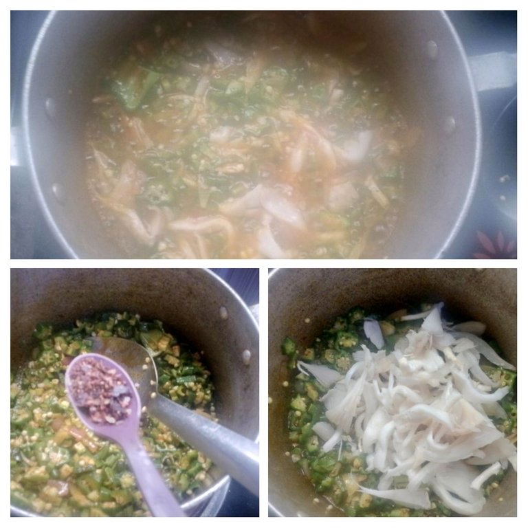 IMG_20250821_084849-COLLAGE.jpg