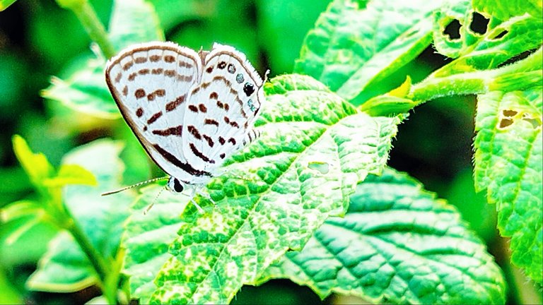 BeautyPlus_20250807204948704_save.jpg