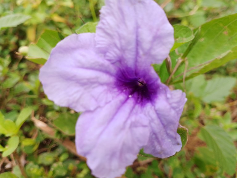 IMG_20250509_110024.jpg