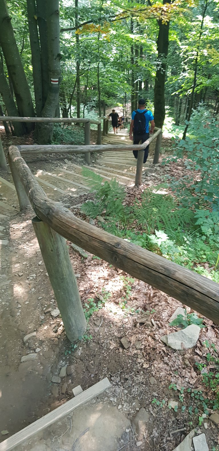 20240815_131321.jpg