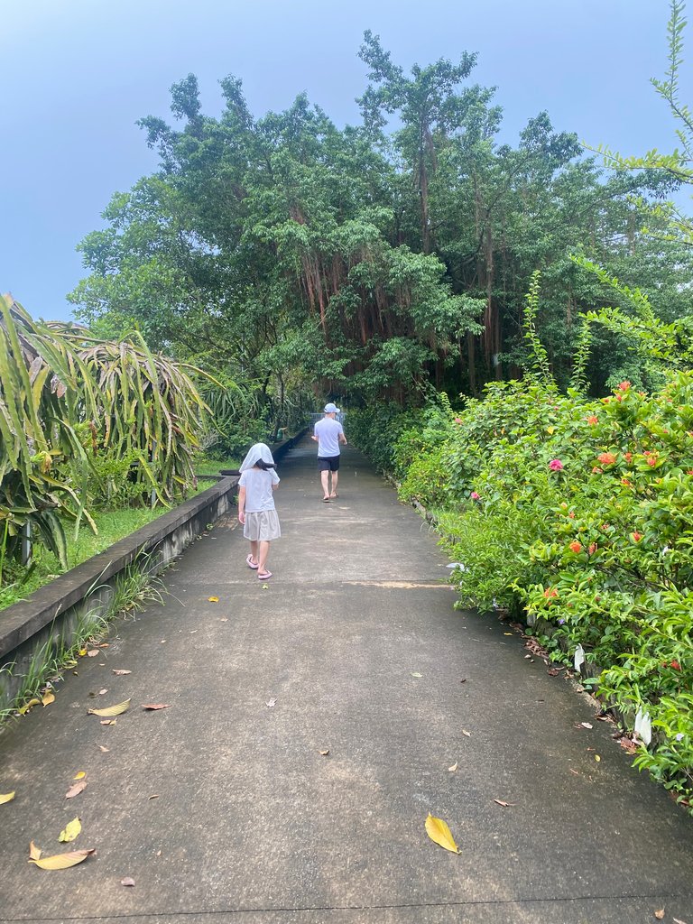 IMG_8429.jpeg