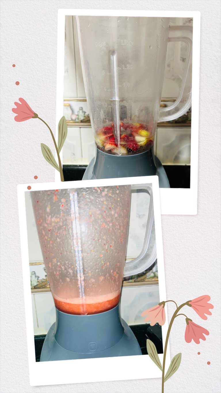 69812446-9873-455F-B477-CC5B508D4A2A-COLLAGE.jpeg