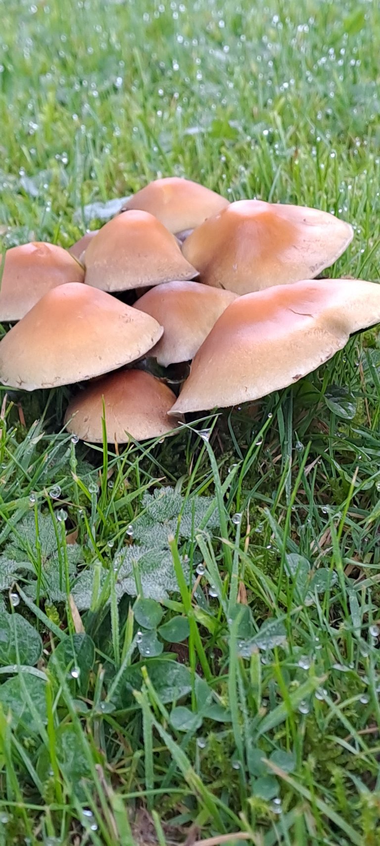 20231027_095228.jpg