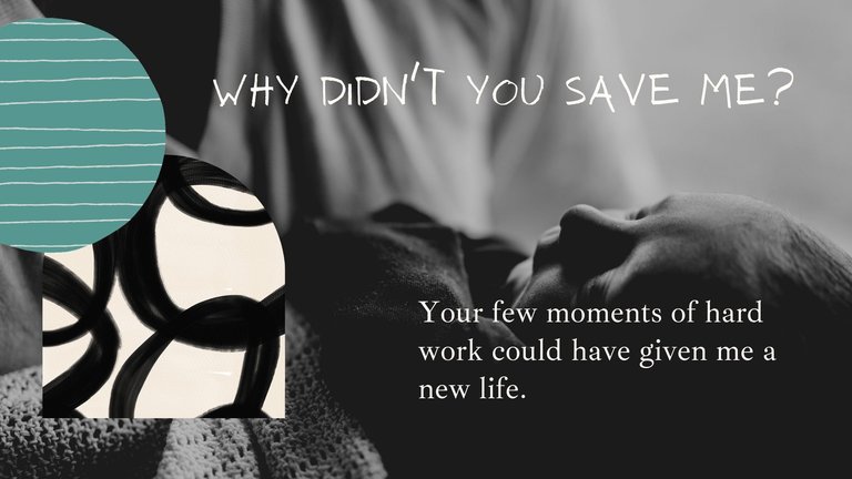 Why didn't you save me.jpg