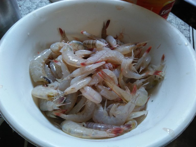 IMG20250429132435.jpg