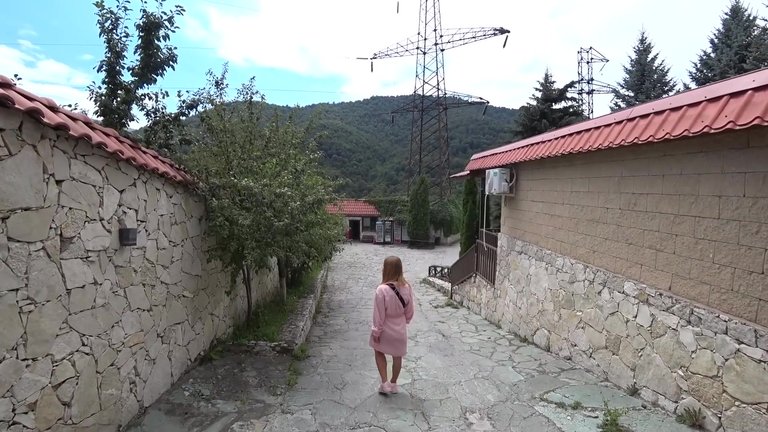 239.jpg