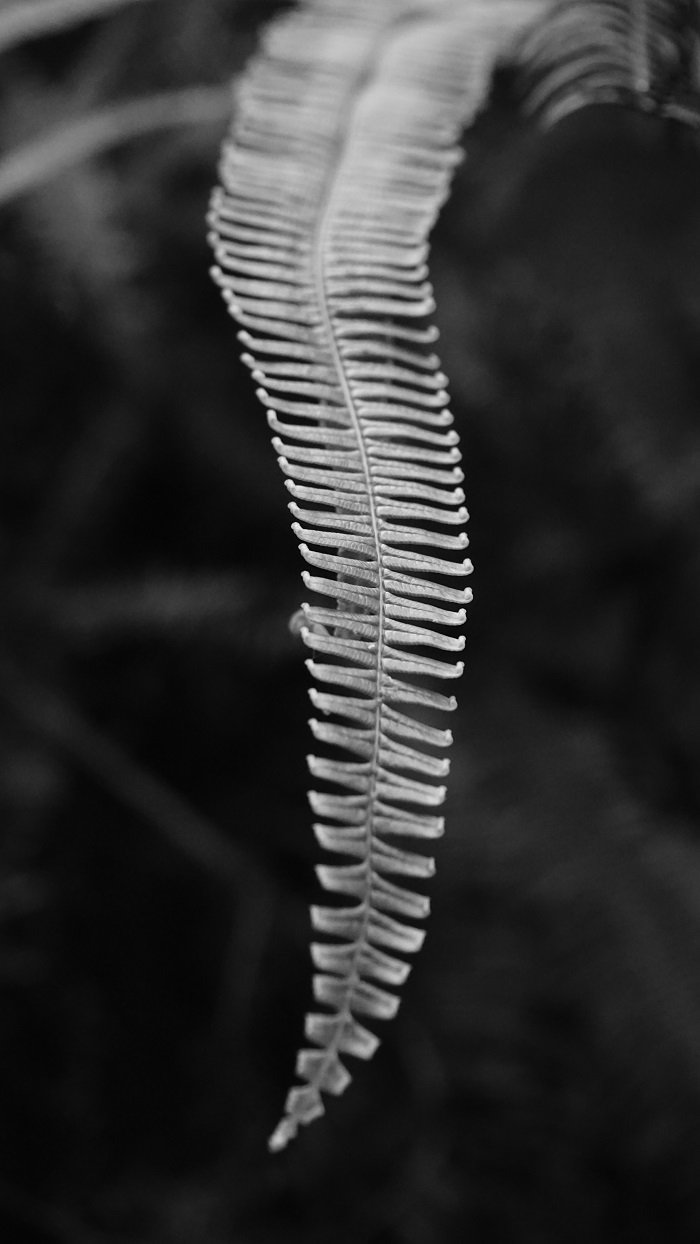 DSC03029b.jpg
