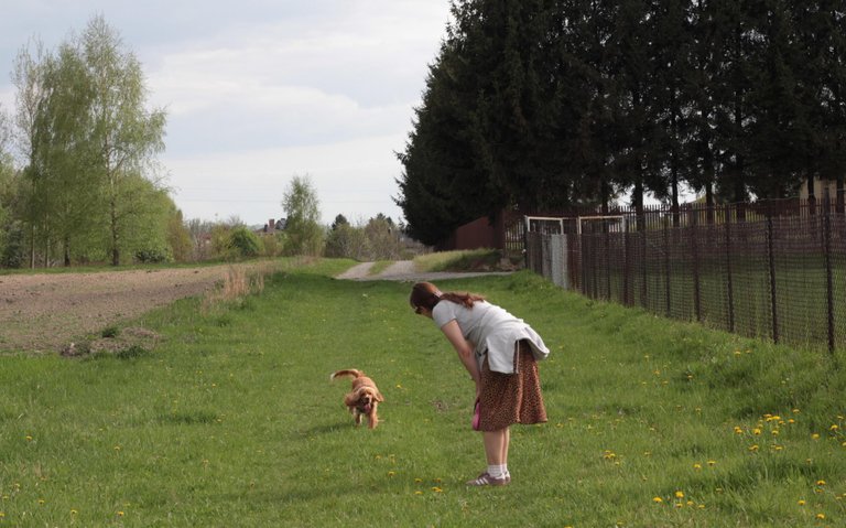 IMG_6743-crop.JPG