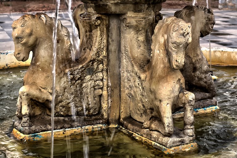 DSC_4415 - copia.jpg