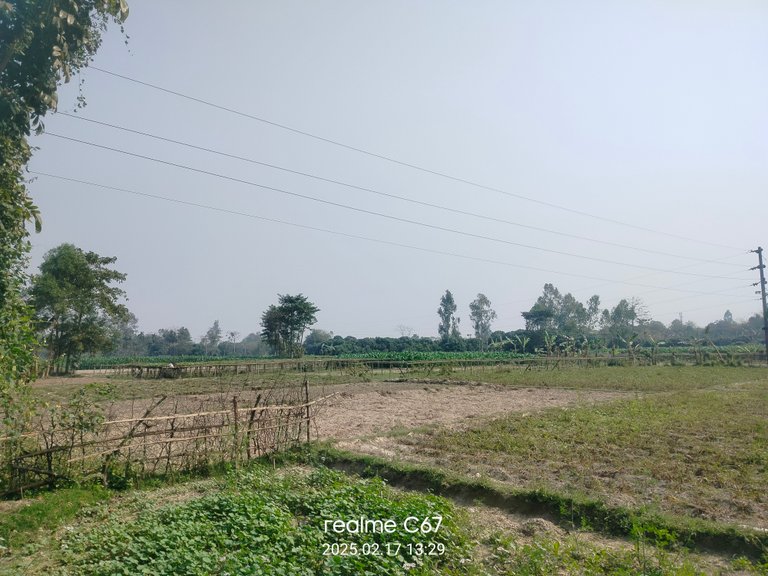 IMG20250217132913.jpg