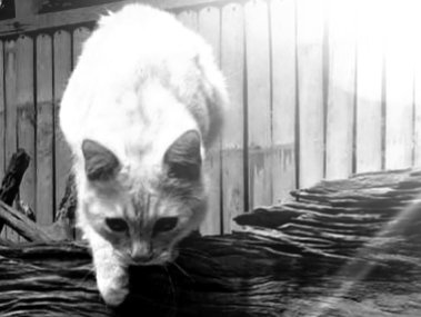 20201113_162241.jpg