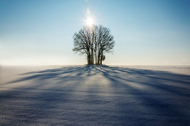 winter1965902_960_720.jpg