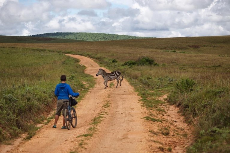 📍NYIKA NATIONAL PARK, MALAWI🇲🇼