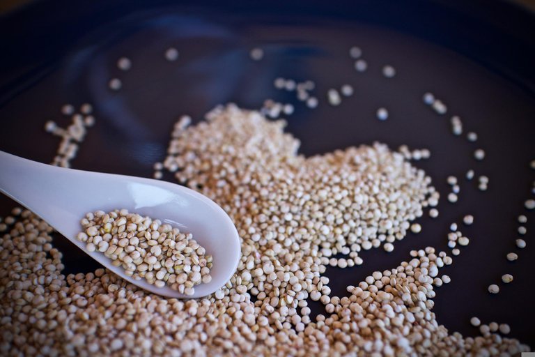 quinoa-g3a0e675e2_1920.jpg