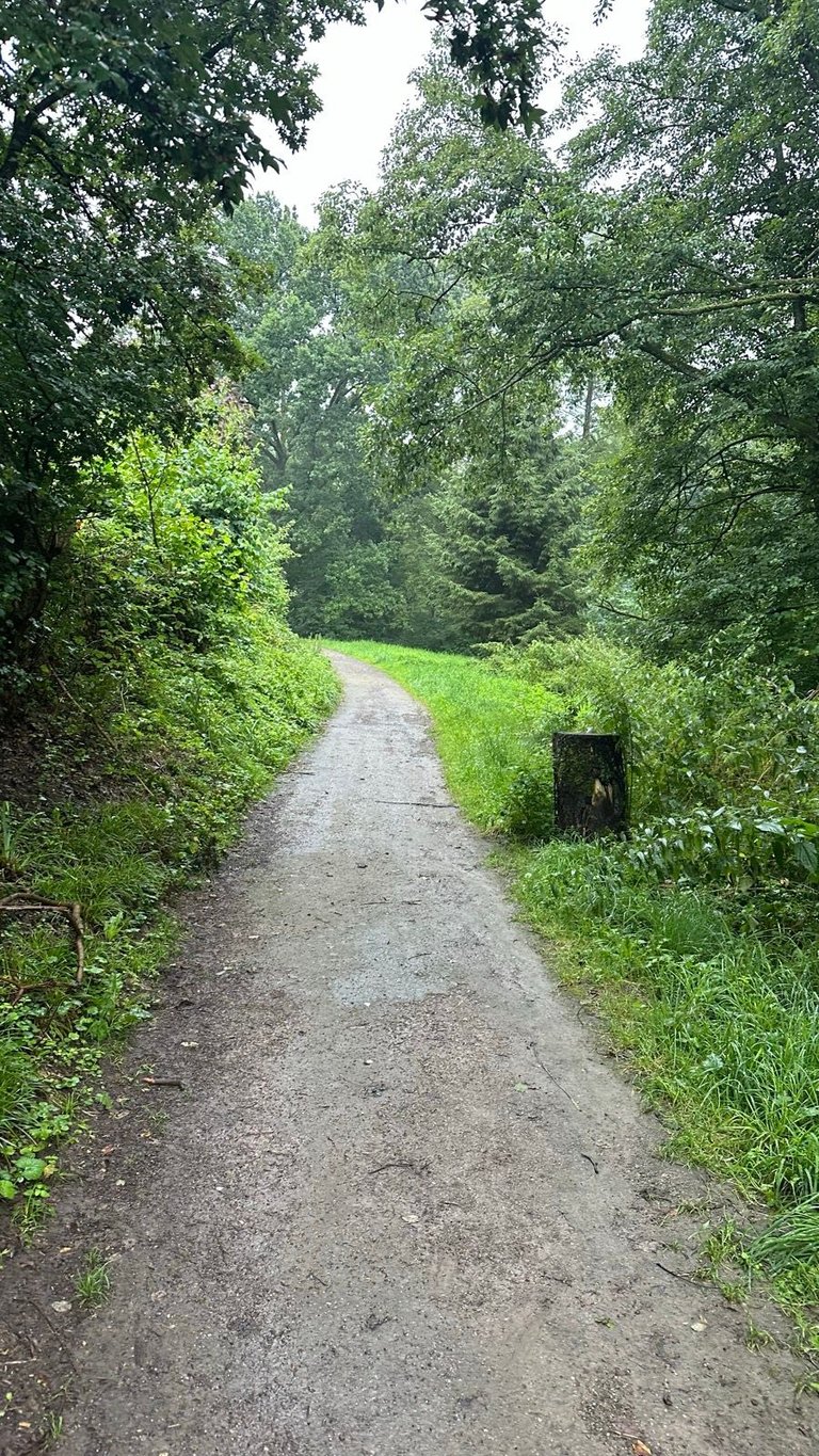footer_image_15316546871.png