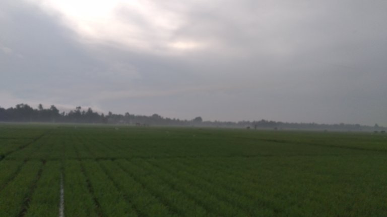 20240310_065923.jpg