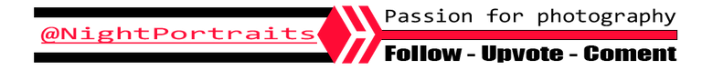 Logo hive separador.png