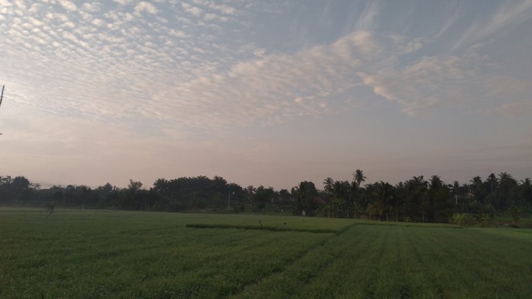 20240317_065945.jpg