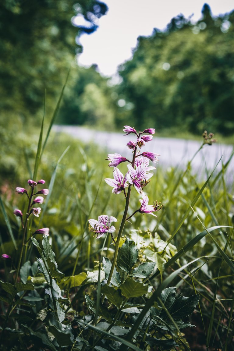 Peter Fazekashttps://api.pexels.com/v1/photos/2345807