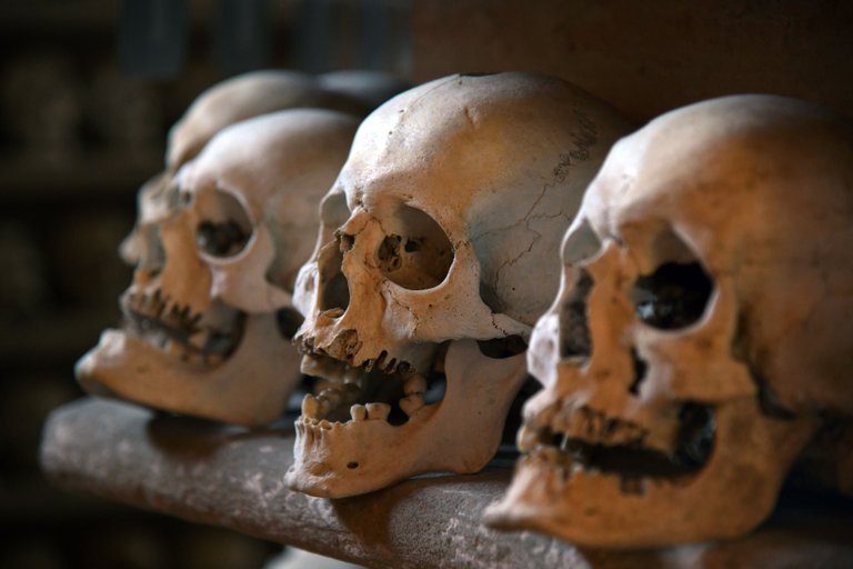Fear of death of humans.