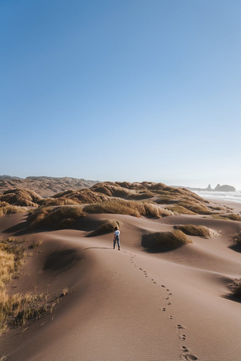 Foto por Brady Knoll en Pexels