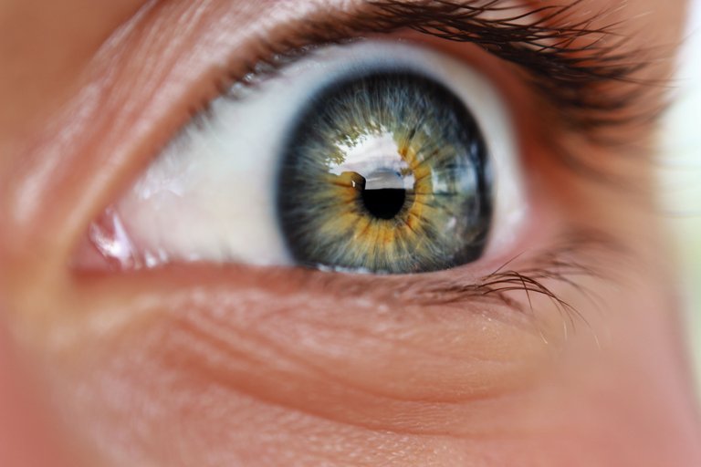 No todo lo que vemos es verdad./Not everything we see with our eyes is true.[ESP-ENG] 