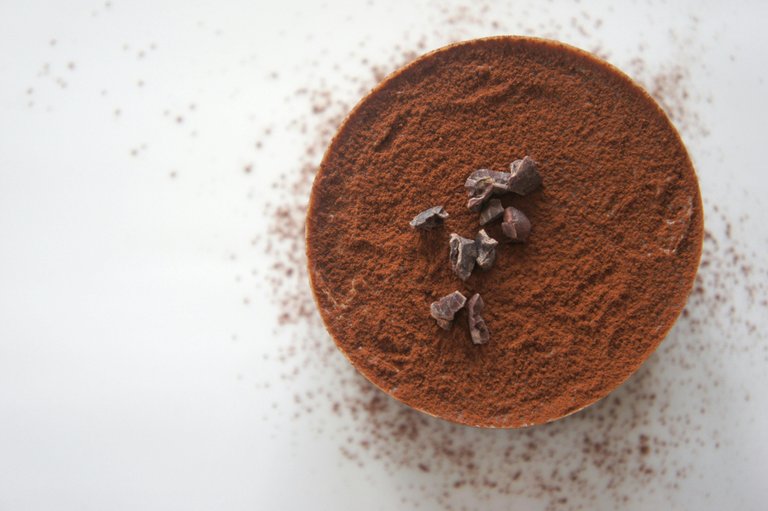Free Top view of a rich chocolate dessert dusted with cocoa powder on a white background. Stock Photo
