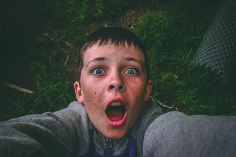 Image from Pexels by [Darcy Lawrey](https://www.pexels.com/photo/opened-mouth-black-haired-boy-in-gray-full-zip-jacket-standing-on-grass-field-taking-selfie-848740/)