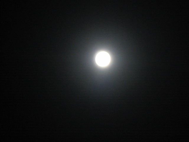 moon.jpg