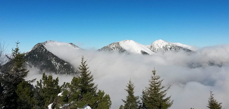 Hoher Fricken, Bischof und Krottenkopf