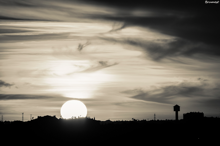 DSC_5198-2-ST.png