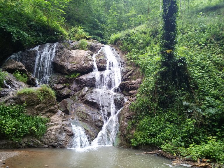20190522_073217.jpg