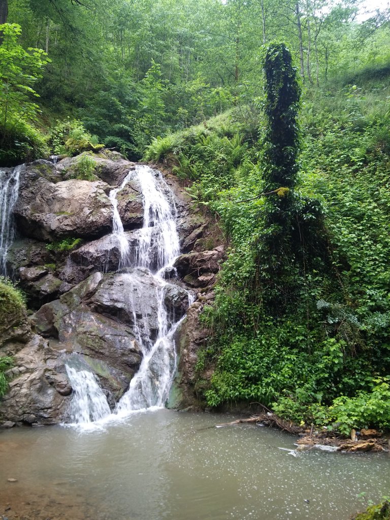 20190522_073206.jpg