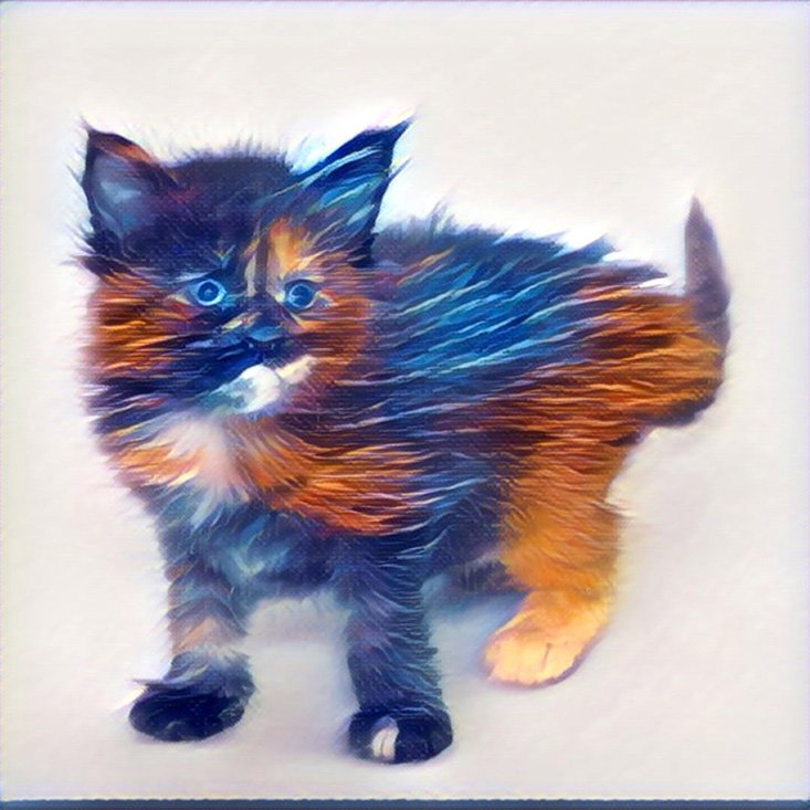 Maine coon prism