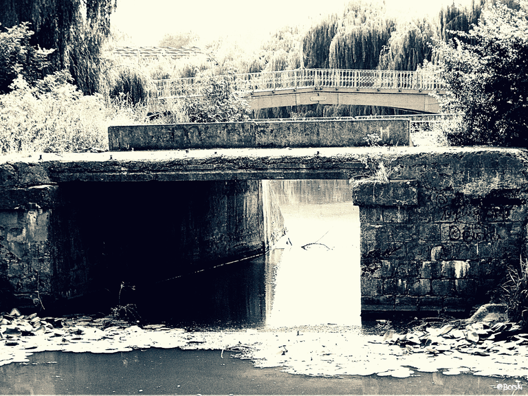 High Water.