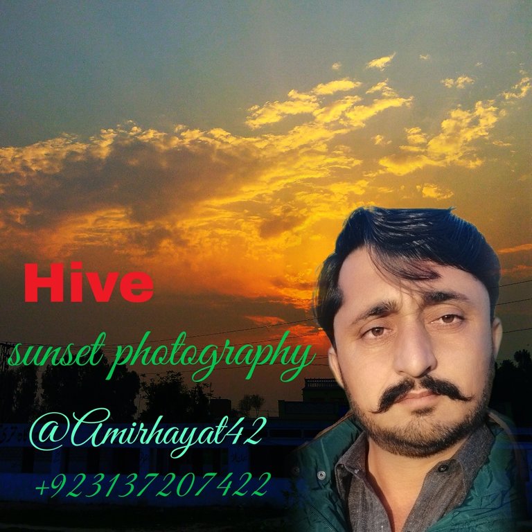 BlendMePhoto1652497809222.jpg